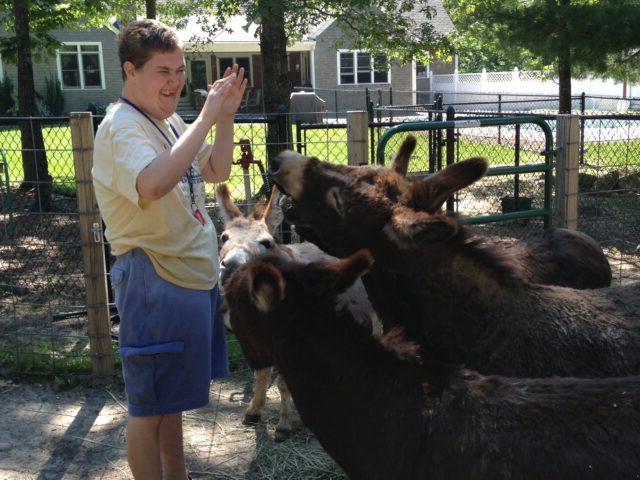 One of our adult residents hangs out with two of our six donkeys.